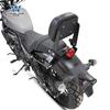Coche muscular Wolf aplicable a saikelon RA250 portaequipajes de respaldo trasero marco trasero alerón trasero respaldo plegable multifuncional modificación