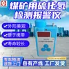 Venta Especial Detector de Alarma de Sulfuro de Hidrógeno para Uso en Minas Detector H2S Alarma Detector de H2S para Minas