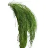 Flores eternas verdes, atmósfera de primavera, decoración del hogar, ramos para tiendas, decoración de ropa de mujer, materiales de flores secas, arreglos florales de recepción, ramas para escenas
