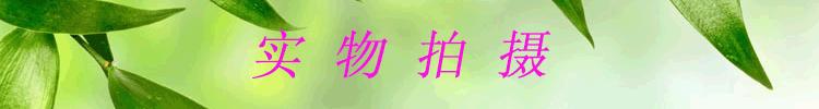 实物拍摄