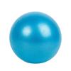 Fosco espessado à prova de explosão clipe para trás bola de tubo de trigo bola ginástica bola fitness 25cm20cm15cm Bola de pilates