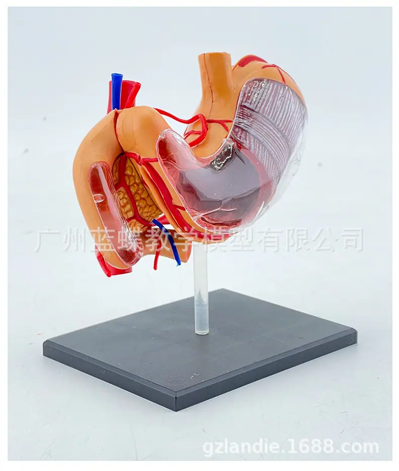 详情23