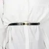 Hebilla Colgante Hebilla Cinturón Delgado Mujer Verano Nuevo Estilo Vestido Suéter Traje Cintura Decorativo Pequeño Cinturón Mujeres