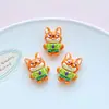 Accesorios de Resina de Animales de Dibujos Animados Brillantes para DIY: Ligas para el Cabello, Pinzas para el Cabello, Pegatinas para Fundas de Teléfono, Decoraciones para Zuecos, Dijes para Zapatos. Venta al por Mayor.