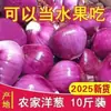 Cebolas de Pele Roxa, Doces e Frescas, Adequadas para Comer Cruas, Cebolas Fruta e Legume, Não Picantes, Especialidade da Fazenda, Caixa Inteira de 4,5kg com Frete Grátis