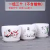 Vaso de Cerâmica Respirável com Design Criativo e Único, Tamanho Grande, Liquidação, com Prato Integrado, Adequado para Uso Doméstico, de Alta Qualidade para Plantas Como Jiboia e Lírio-Aranha