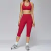 Traje de Yoga Transfronterizo Europeo y Americano Cepillado Ajustado de Pierna Ancha Casual Deportivo Traje de Fitness para Correr al Aire Libre 3127