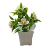 Plantas en Maceta de Plástico con Perlas Simuladas, Decoración Creativa para Plantas del Hogar, Plantas Verdes, Paisajes de Interior y Exterior, Adornos de Flores Artificiales en Maceta