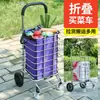 Fabricante de carritos de compras transfronterizos: Carrito de compras ligero para uso doméstico, carrito de compras portátil para personas mayores, carrito para entrega en supermercado y transporte de paquetes