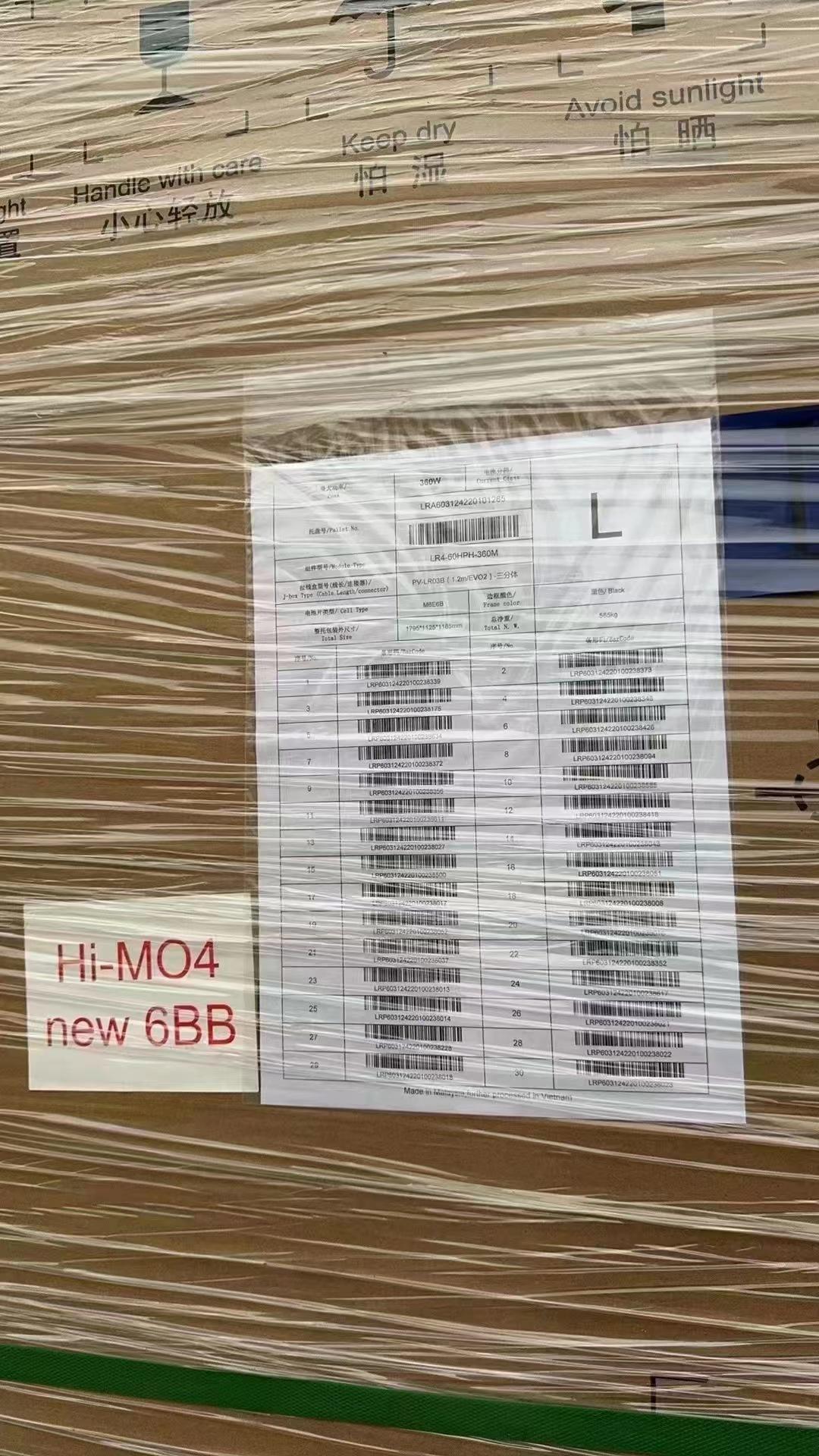 2024-01-10 212500.jpg