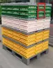 Sistema de Transporte de Empanadas de Huevo: Bandejas de Huevo con Compartimentos para 30 Huevos, Desechables, Pueden Transportar 12,960 Huevos. Sistema de Bandeja para Huevos