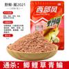 Vento oeste peixe-cruciano selvagem peixe-cruciano selvagem cheiroso e arroz com vinho 300g isca de pesca Lago Biblioteca pesca selvagem peixe-cruciano carpa isca de carpa grama isca de pesca para tilápia