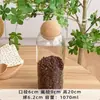 Frasco de Vidrio Transparente Sellado de Grano de Café de Grado Alimenticio Frasco para Té Alto Valor de Color Almacenamiento de Granos Frasco de Almacenamiento a Prueba de Humedad