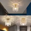 Luz de pasillo estilo vintage con un toque de alta gama, lámpara de techo creativa con colgante de perlas para balcón, protección ocular de espectro completo, nueva luz de entrada, hierro