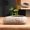 Piedra artificial no porosa cobre hierba de la fortuna tamaño especial maceta de cerámica para el hogar bonsái narciso recipiente para cultivo en agua liquidación al por mayor