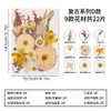 Materiais DIY para gravação em relevo com flores secas, porta-retrato com flores prensadas em resina de flor real, marcador de página com espécime de planta feito à mão, kit de material para pintura de folhas