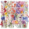 50 piezas de pegatinas de plantas y flores, un producto popular transfronterizo, para la decoración estilo graffiti de teléfonos, computadoras, patinetas y guitarras; pegatinas impermeables, al por mayor
