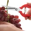 Tijeras Agrícolas, Tijeras para Podar Ramas, Tijeras para Podar Plantas, Tijeras de Jardinería de Punta Fina para Flores, Tijeras para Recolectar Fruta