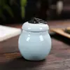 Mini Tarro Sellado de Cerámica Pequeño Tarro de Té Retro Polvo Aromático Polvo Medicinal Botella Vacía Medicina en Cápsulas Cosméticos Botella Dispensadora