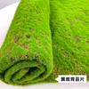Musgo Artificial, Plantas Verdes Falsas, Vegetación de Pared, Césped Paisajístico de Interior, Exhibición de Escenas, Decoración de Ventanas, Césped Artificial Micro, Alta Simulación al por Mayor