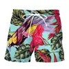 Natación de Verano para Hombres Pantalones Cortos de Natación para Hombres Suministro Directo de Fábrica 2024 Comercio Exterior Transfronterizo Shorts de Playa Populares