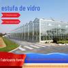 Estufa de Vidro Plantio de Hortaliças Estufa de Criação Turismo Agrícola Solário Sombreamento Externo Contínuo Estufa Inteligente