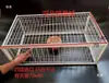 Paloma golpea puerta suministros para palomas mensajeras montaje jaula para palomas solo entrada sin salida barra móvil totalmente automática jaula golpea puerta solo entrada sin salida