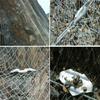 Fabricante de Mallas de Protección de Taludes, Refuerzo y Protección de Taludes Montañosos, Enverdecimiento, Hidrosiembra, Malla Colgante, Protección Activa y Pasiva Anticolisión de Taludes