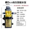 Bomba de agua pulverizadora eléctrica 12V máquina pulverizadora eléctrica bomba de diafragma eléctrica de cobre puro motor de cobre puro bomba para lavado de coches