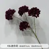 Flores de Casamento, Arranjos de Flores Vermelhas, Flores para Decoração de Casamento, Decorações de Teto para Salão de Casamento, Arranjos de Flores de Chão