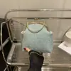 2025 Nueva Moda Bolso Cruzado de un Solo Hombro Ins Tendencia Retro Bolso para Mujer Textura Simple Cadena Bolso de Noche