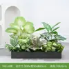 [Serie Y80] Decoración de Partición de Planta Verde Simulada Macetero Maceta Valla Paisajística de Plástico Biónico Diseño