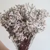 Ramo Eterno de Yunnan Hierba de Cristal Flores Preservadas de Colores Accesorios Florales Decoración del Hogar DIY Flores Secas Accesorios para Fotografía