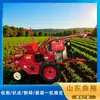 Colheitadeira Agrícola de Mão, Pequena Colheitadeira de Milho de Linha Única, Colheitadeira Autopropelida para Trigo, Milho e Soja