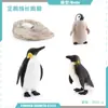 Juguete modelo de animal pequeño simulación ciclo de vida crecimiento rana tortuga pollo Montessori material didáctico preescolar venta al por mayor
