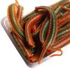 8cm biônico curva minhoca areia bicho-da-seda isca macia verme Luya macarrão minhoca minhoca do mar camarão fishy cheiro isca falsa isca Soft Bait artes de pesca