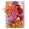 Día de la Madre Flor Eterna A5 Paquete de Material de Tablero de Flores en Relieve Marco de Fotos DIY Abanico Sombrero de Paja Material de Flores Flores Secas