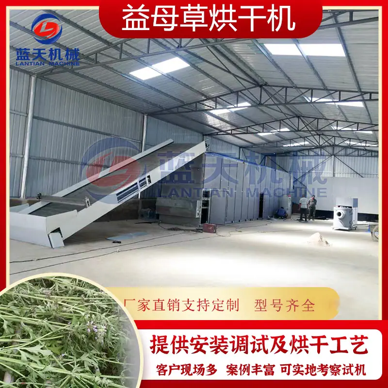洋阿.jpg