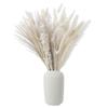 Capim-dos-pampas Pequeno Junco Cauda de Coelho Poeira Pequeno Pampas Eucalipto Decoração de Casa Mix and Match Transfronteiriço Seco