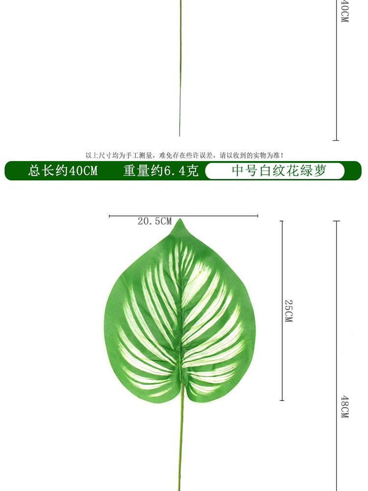 白纹花绿萝叶单支_05.jpg