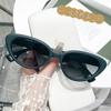 Nuevas Gafas de Sol Ojo de Gato de Montura Pequeña Europeas y Americanas Transfronterizas Personalizadas Gafas de Sol de Moda para Mujer 5134