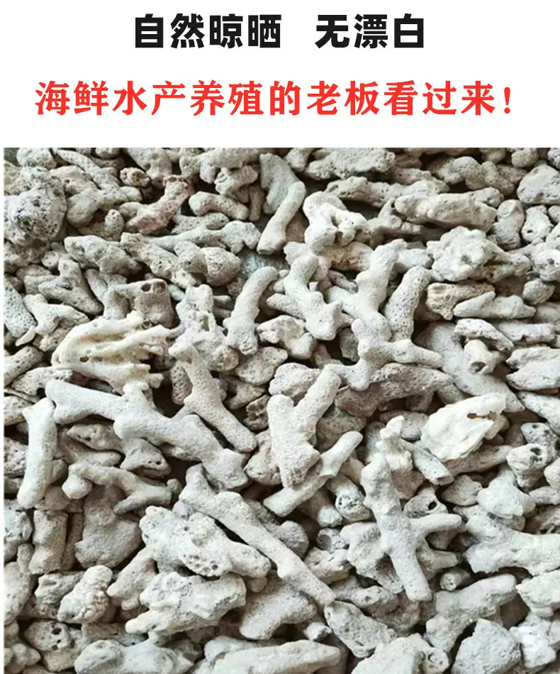 珊瑚沙详情01