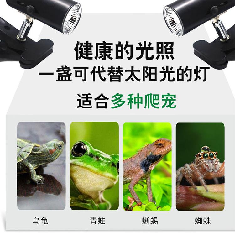 详情页.jpg