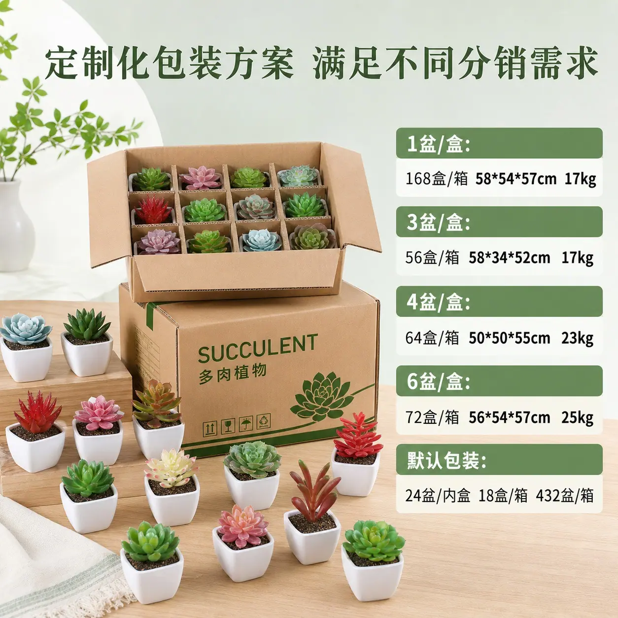 1307多肉详情页 (11).jpg