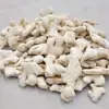 Combinação de anis, anis-estrelado, canela, folha de louro, pimenta-do-reino em grãos, pimenta, cravo, anis-estrelado e raiz branca para sua própria seleção