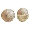 Cesta de Bambú Tejida a Mano Bol de Bambú Cesta Redonda para Escurrir Frutas y Verduras de Cocina Cesta Redonda de Almacenamiento Cesta para Snacks Cesta para Pan