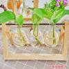 Vaso hidropônico criativo com moldura de madeira, planta de rosa verde, flor de vidro, recipiente pequeno para sala de estar, escritório, enfeites decorativos de mesa