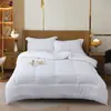 Núcleo de colcha de hotel Roupa de cama de hotel Bed & Breakfast Fábrica de colchas Four Seasons atacado colcha de pena e algodão primavera e outono colcha de inverno