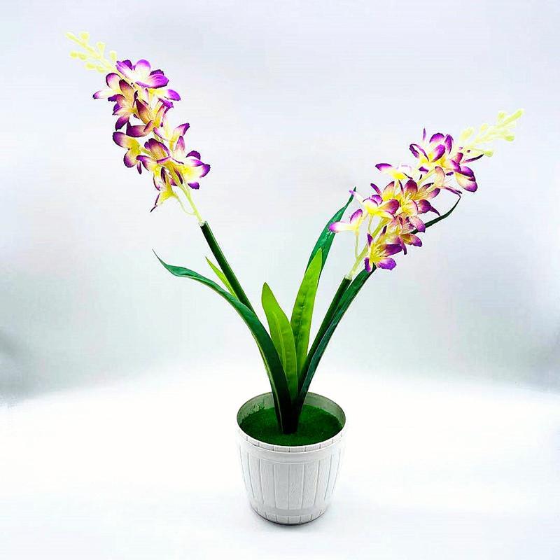 微信图片_20211008194252_副本