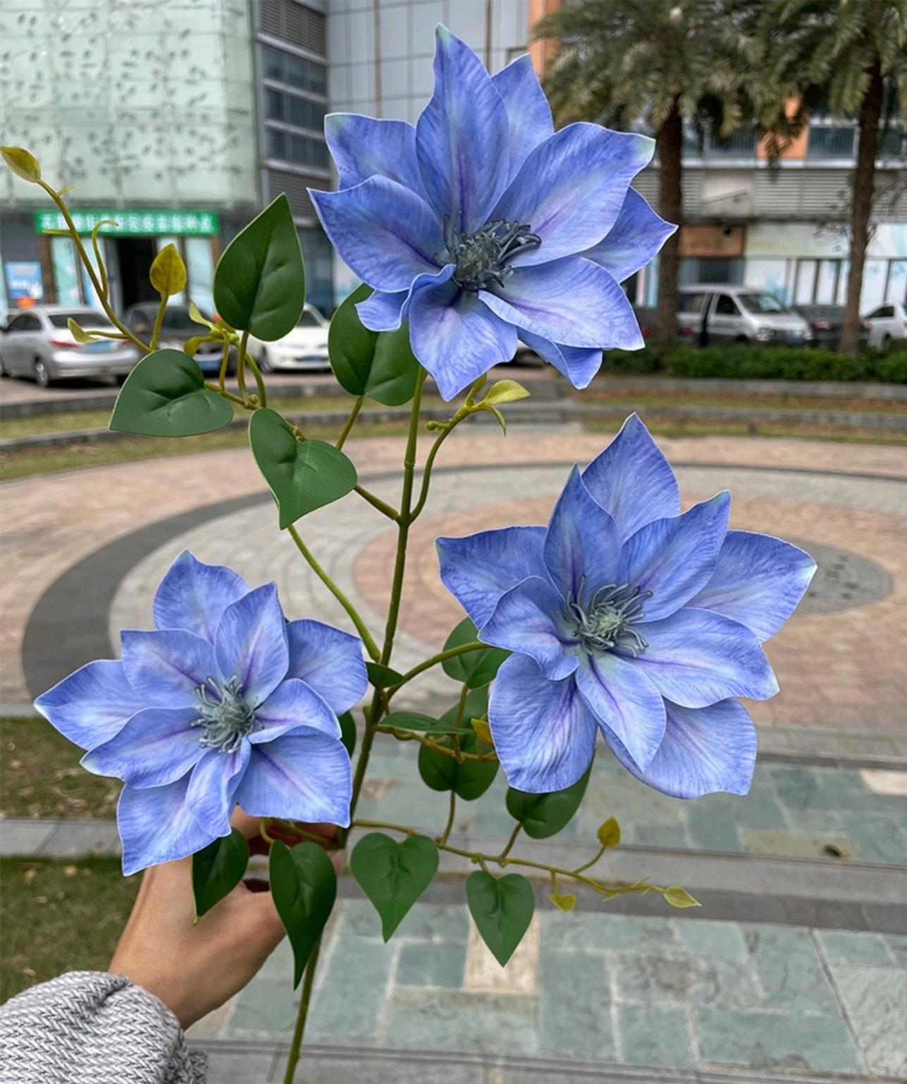 微信图片_20240707135439.jpg